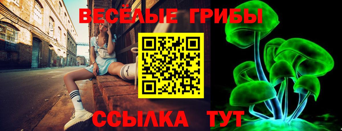 Галлюциногенные грибы прущие грибы  Вход с VPN  Омск 