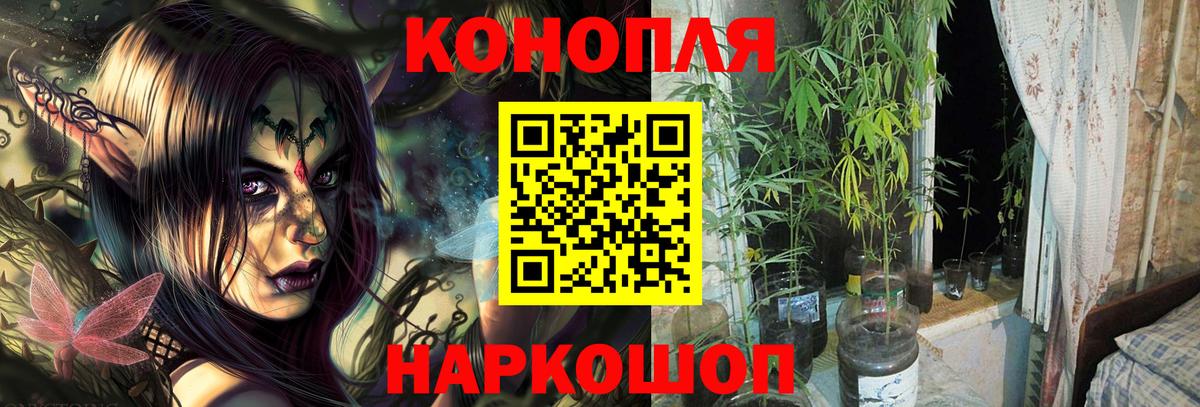 Канабис гибрид Омск