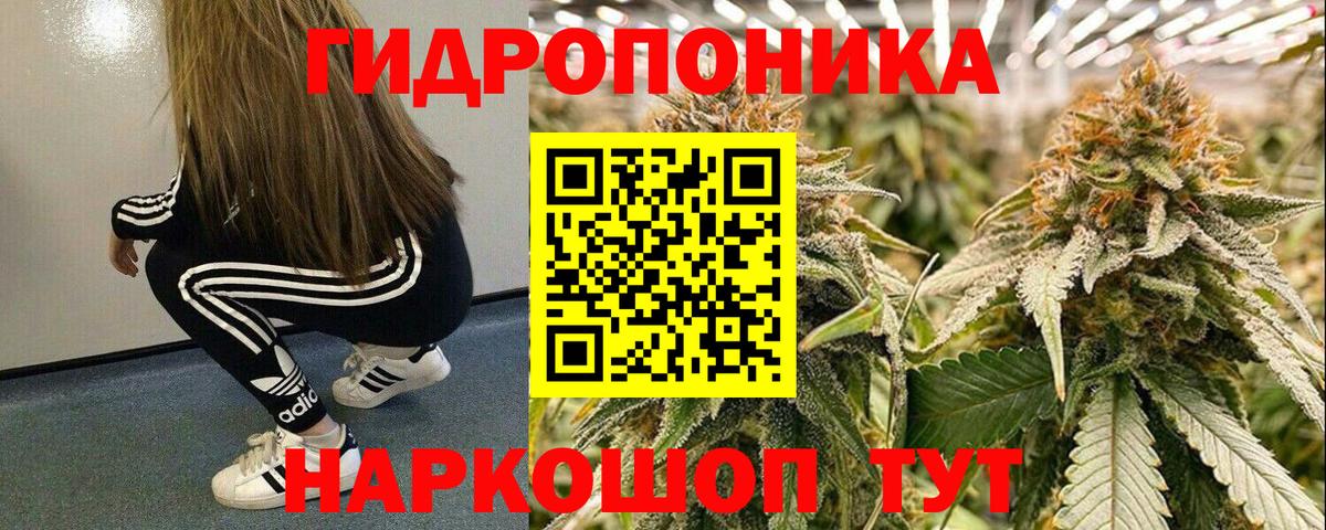 МАРИХУАНА конопля  Каннабис план  Омск  Вход с VPN  Канабис VHQ 